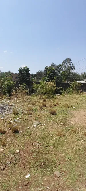1/2 Acre Land Parcel in the Prestigious Thome 5 Estate