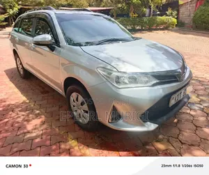 Toyota Corolla Fielder 2019 Silver