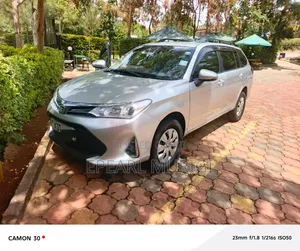 Toyota Corolla Fielder 2019 Silver