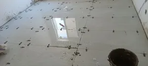 Professional Tiler