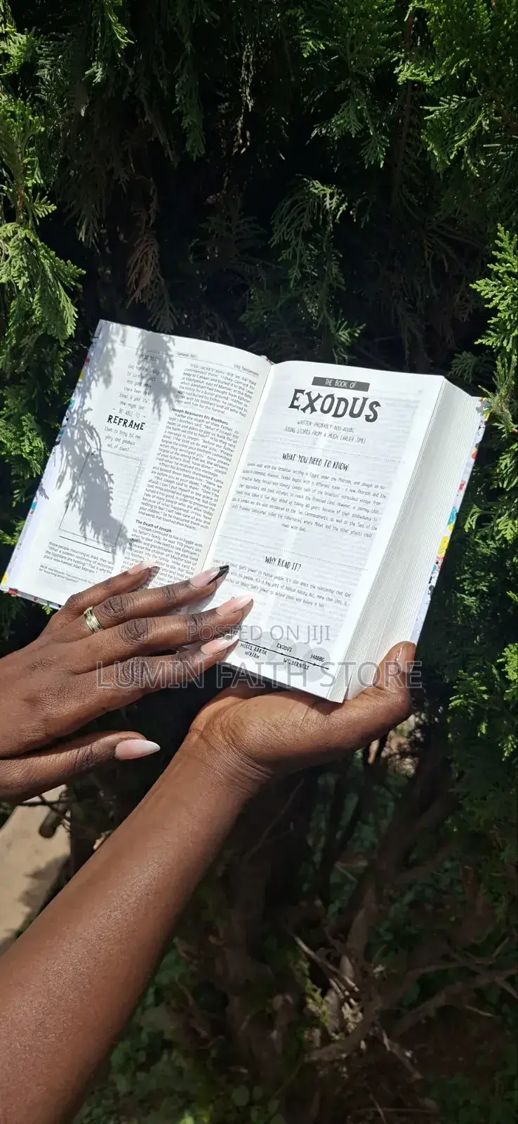New Interactive Youth Bible