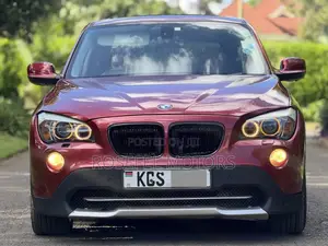 BMW X1 2011 Maroon