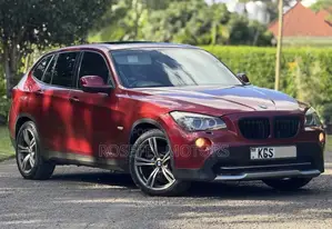 BMW X1 2011 Maroon