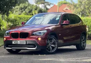 BMW X1 2011 Maroon