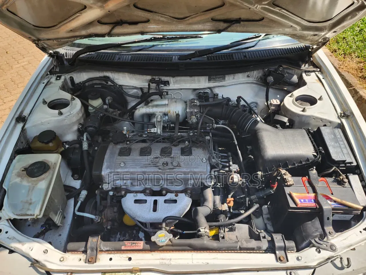 Toyota Corolla 2002 White