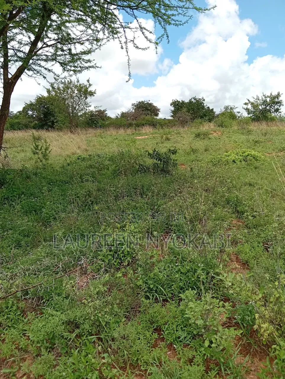 50*100 Plots for Sale in Matuu