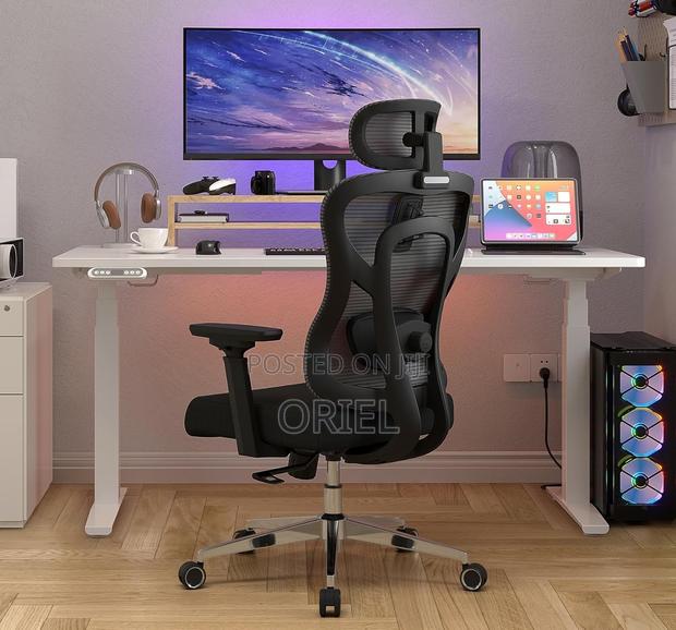 Office Chair : Breathable High-Back Orthopedic Office Chair - thumbnail 14