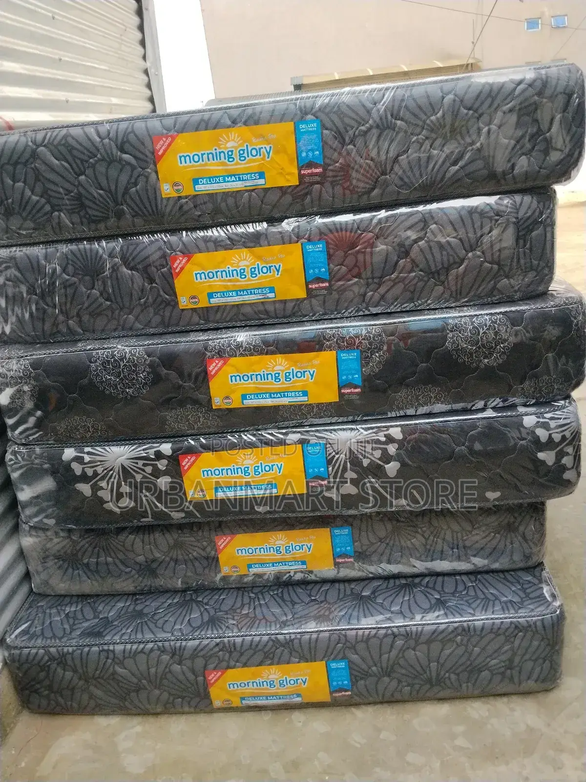 5x6 Morning Glory 10 Inch Quilted Mattress at 9000