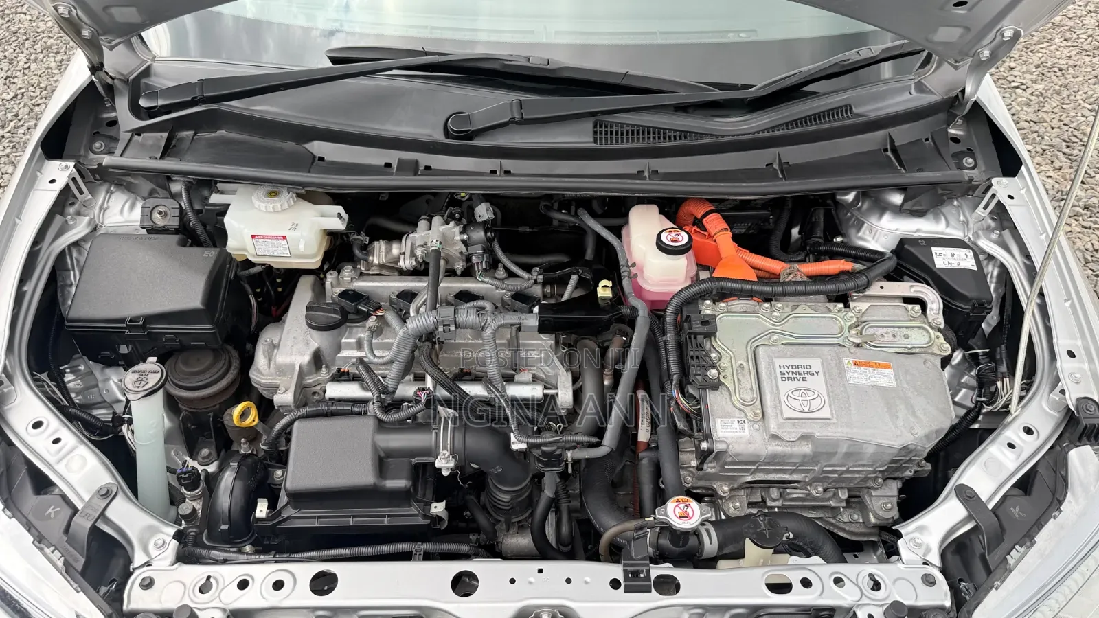 Toyota Succeed 2019 White