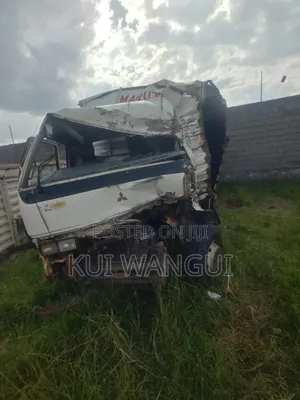Mitsubishi Fuso 2015 White
