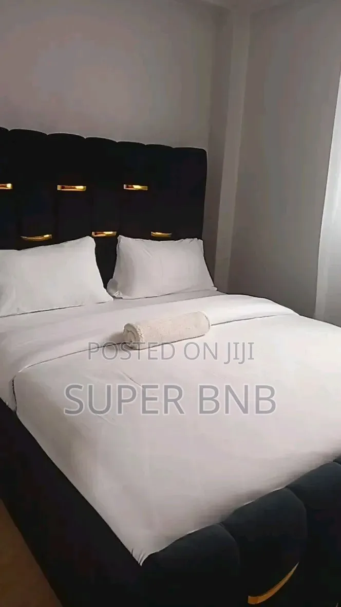 1 2 Bedrooms Airbnb Available for Short Long Stay in Kisii CBD
