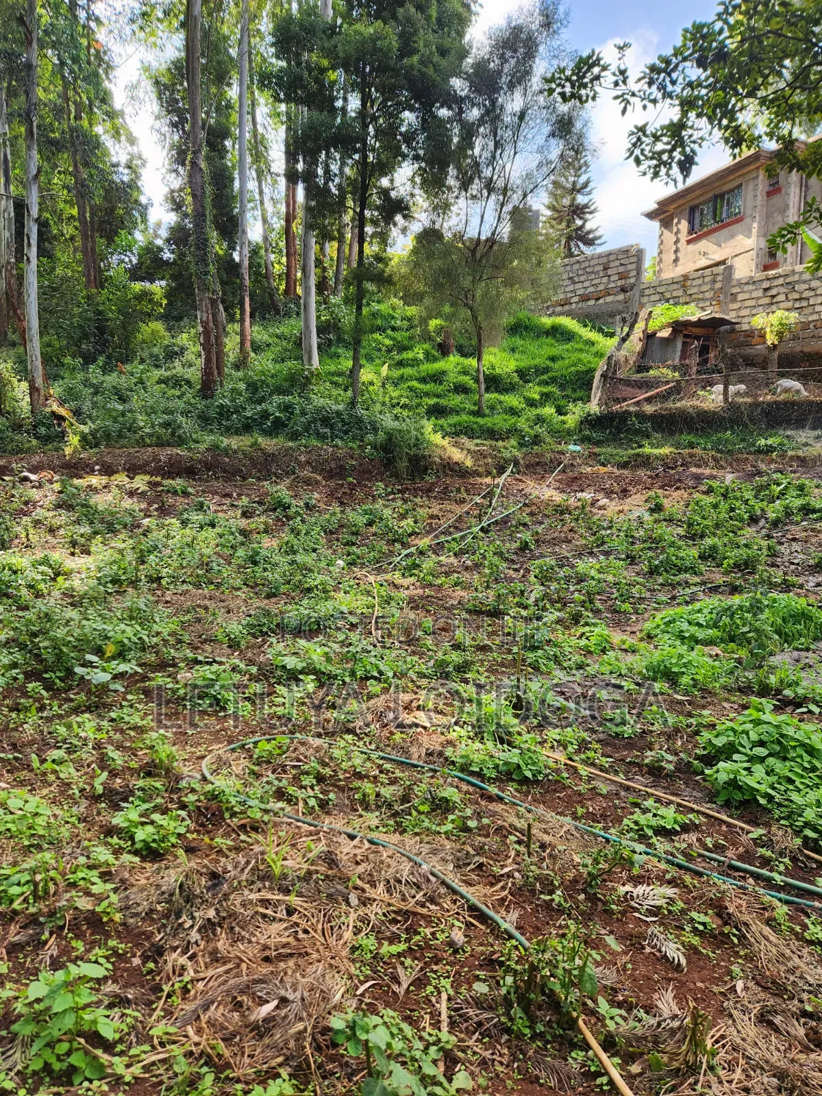 1 Acre Ngong-Kahara (Fronting Ngong-Kahara Road)