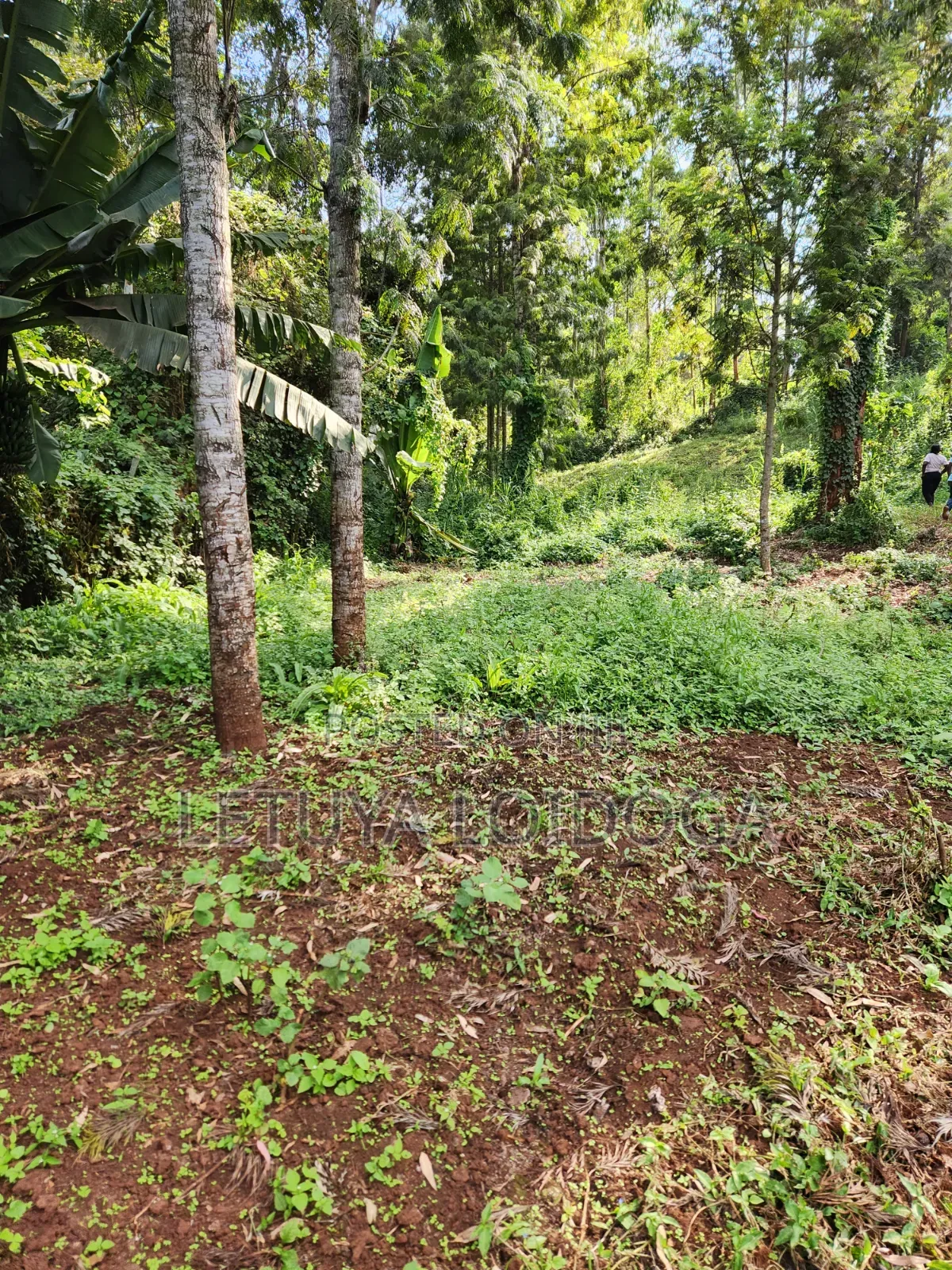 1 Acre Ngong-Kahara (Fronting Ngong-Kahara Road)