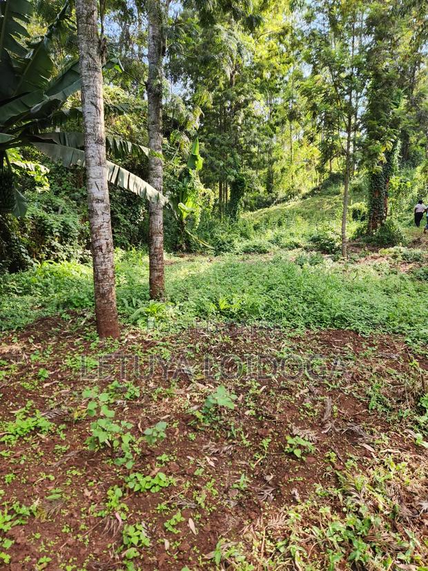 1 Acre Ngong-Kahara (Fronting Ngong-Kahara Road) - thumbnail 5