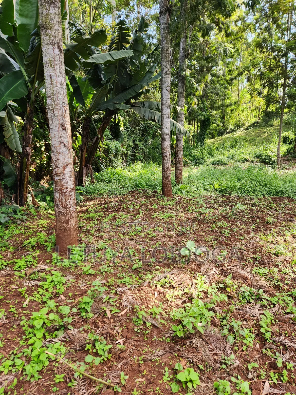 1 Acre Ngong-Kahara (Fronting Ngong-Kahara Road)