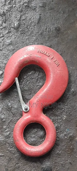 Hooks 5 Ton and 8tonnes