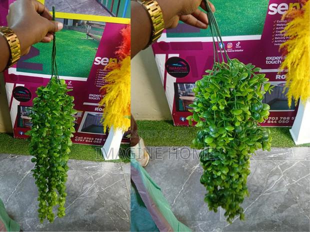 Green Hanging Vines - main view