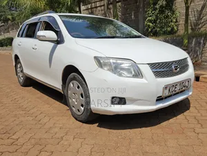 Toyota Corolla Fielder 2009 White