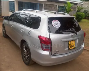 Toyota Corolla Fielder 2009 Silver