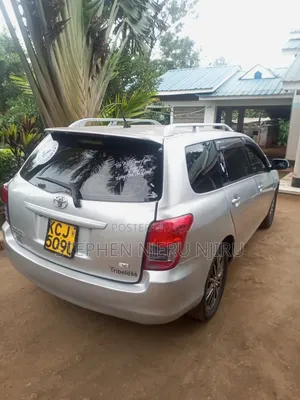 Toyota Corolla Fielder 2009 Silver