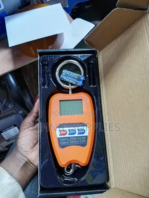 200 Kg Mini Crane