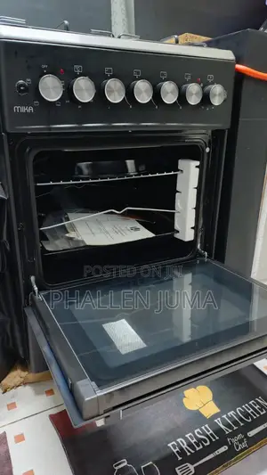 Gas Standing Cooker
