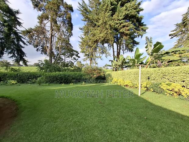 3bdrm Bungalow in Tigoni for rent - thumbnail 4