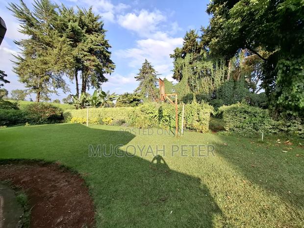 3bdrm Bungalow in Tigoni for rent - thumbnail 5