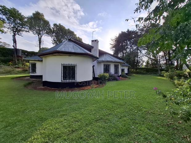 3bdrm Bungalow in Tigoni for rent - thumbnail 6