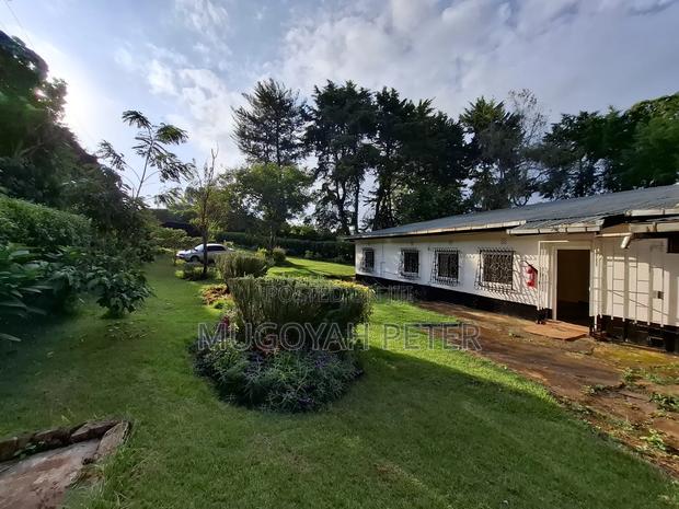 3bdrm Bungalow in Tigoni for rent - thumbnail 7