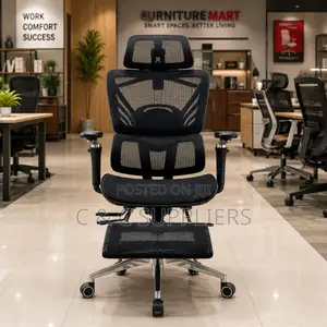 Ergonomic Full Mesh Chair
