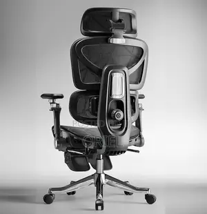 Office Chair : Executive Orthopedic Office Chair With Footrest