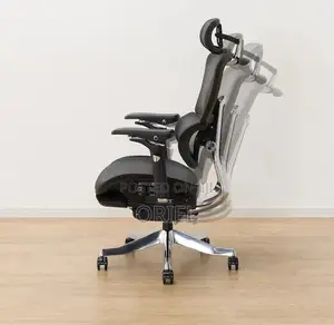Office Chair : Executive Orthopedic Office Chair With Footrest
