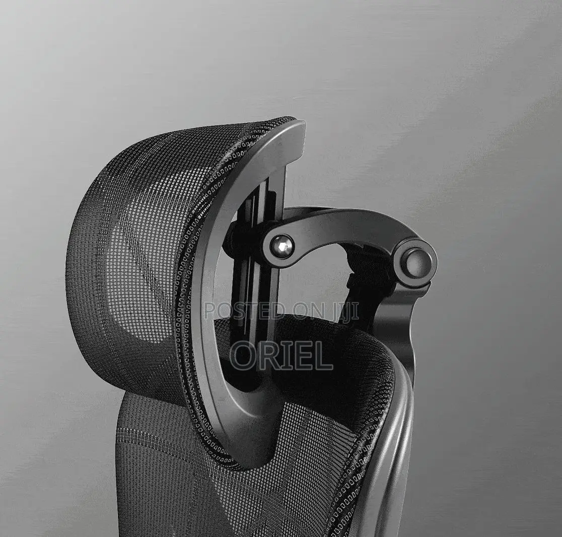Office Chair : Executive Orthopedic Office Chair With Footrest