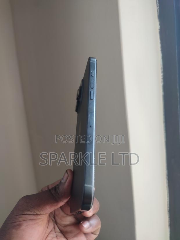 Apple iPhone 16 Pro Max 256 GB Black - thumbnail 3