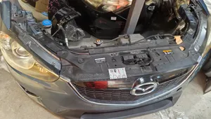 Cx5 2013 Nosecute