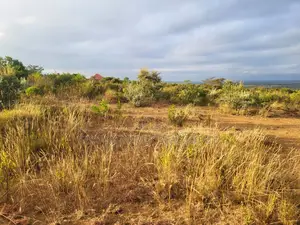50x100 Plots for Sale in Narok Olepolos–| Near Maasai Mara College