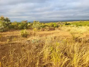 50x100 Plots for Sale in Narok Olepolos–| Near Maasai Mara College