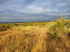 50x100 Plots for Sale in Narok Olepolos–| Near Maasai Mara College