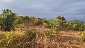 50x100 Plots for Sale in Narok Olepolos–| Near Maasai Mara College