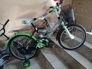 Size 20 Kids Bicycle With Removable Training Wheels