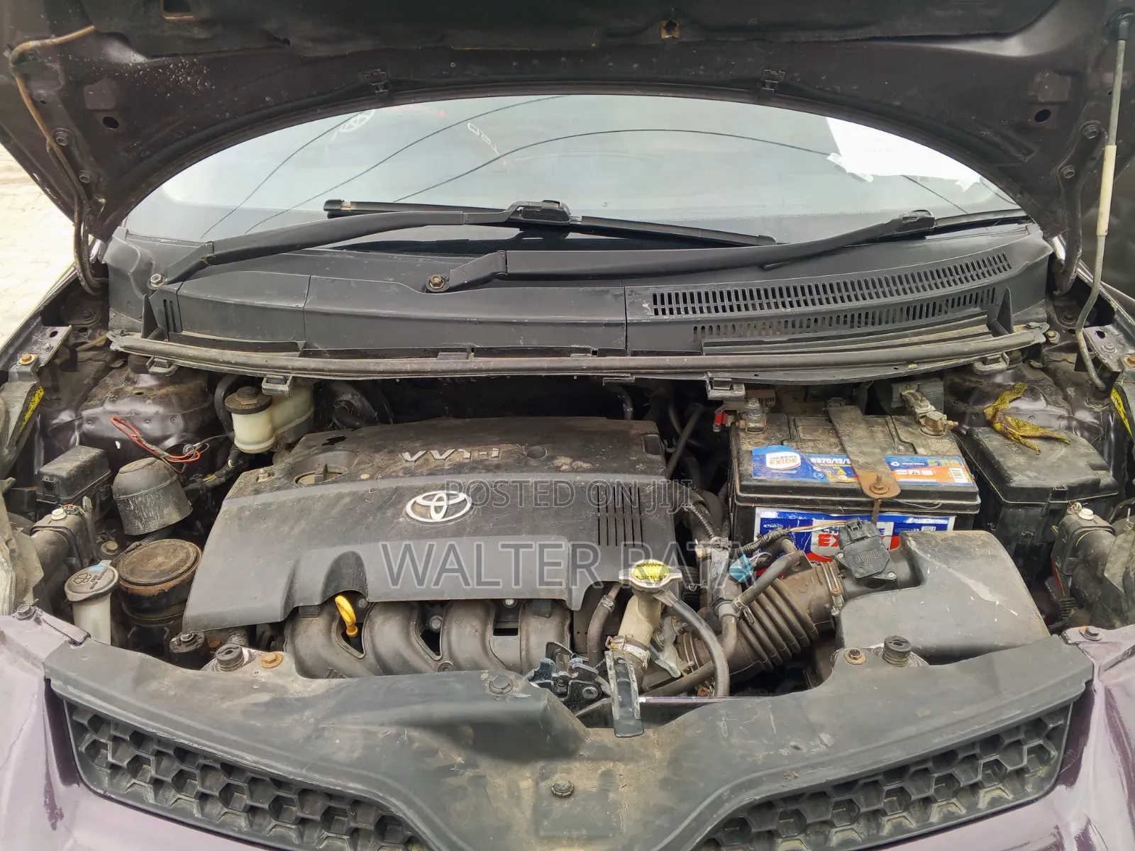 Toyota IST 2008 Burgundy