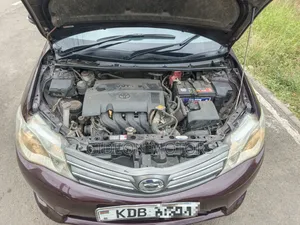 Toyota Axio 2013 Brown