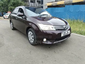 Toyota Axio 2013 Brown