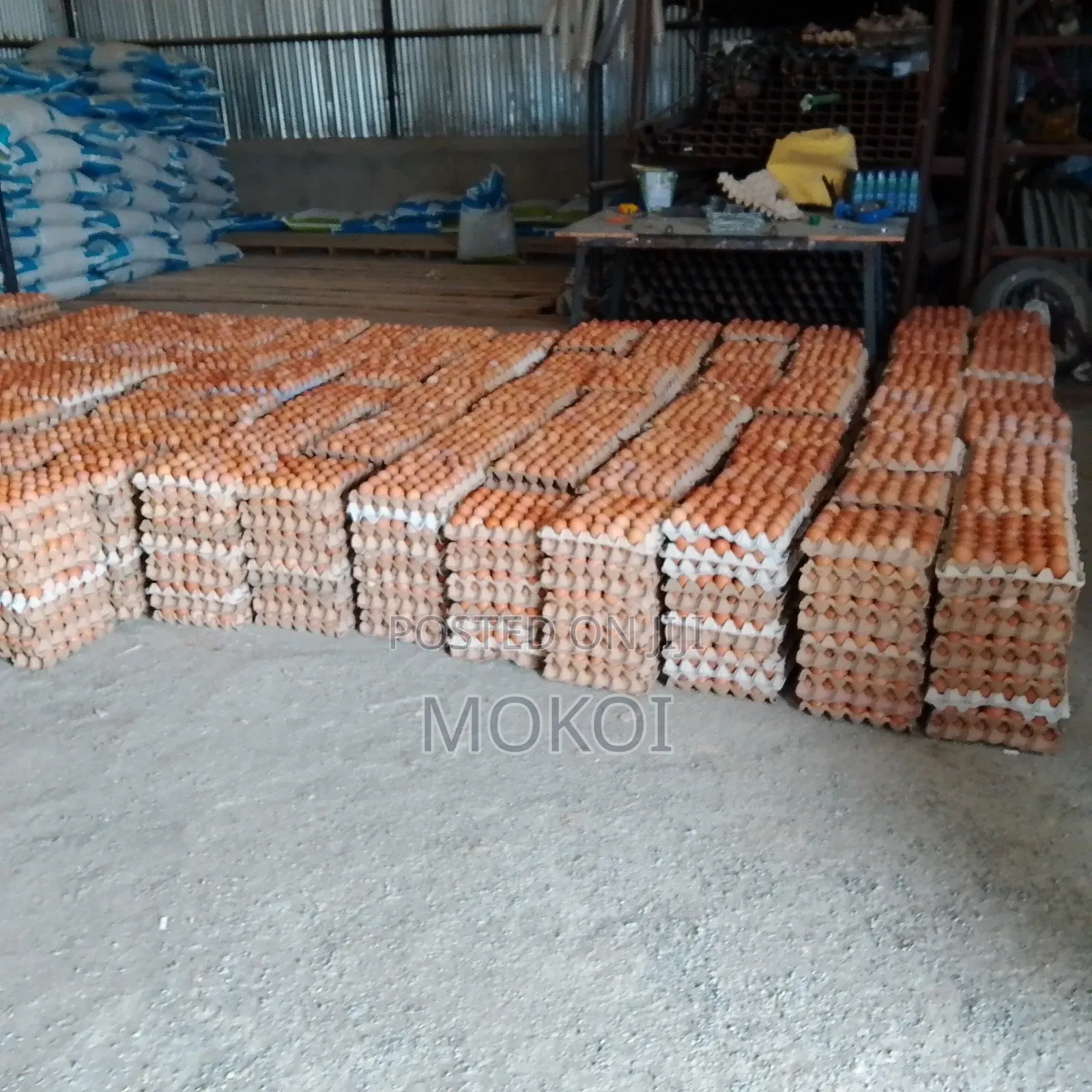 Chicken Eggs in Wholesale