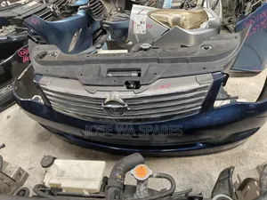 Nissan Blueberries Nosecute