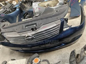 Nissan Blueberries Nosecute
