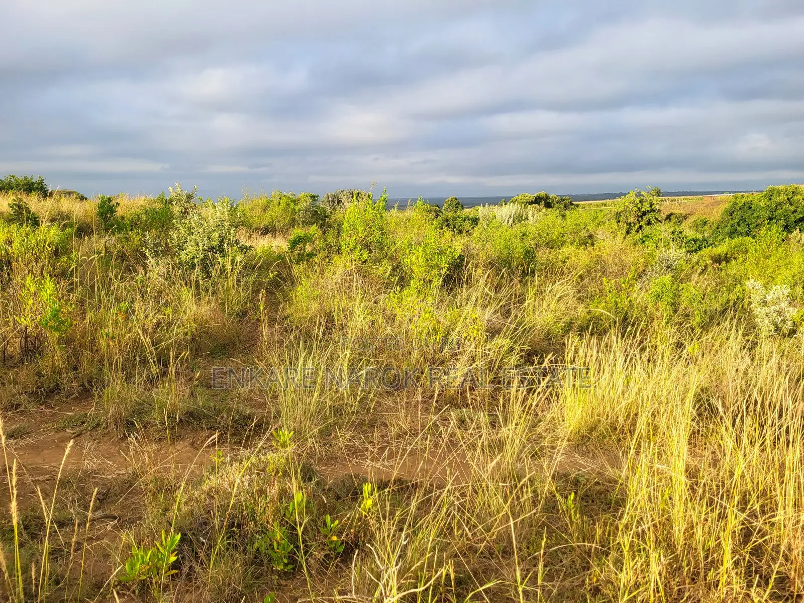 50x100 Plot for Sale in Narok Olepolos – Kes 300,000