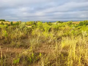 50x100 Plot for Sale in Narok Olepolos – Kes 300,000