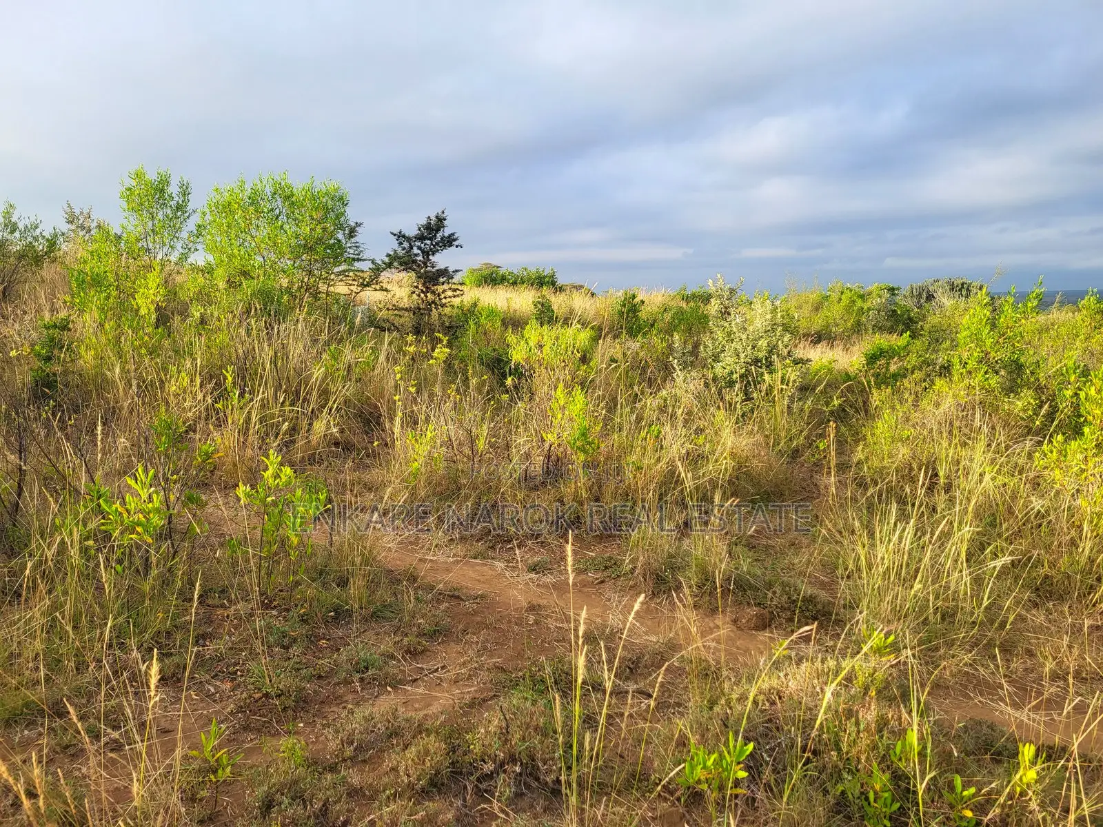 50x100 Plot for Sale in Narok Olepolos – Kes 300,000